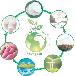 Bio-degradable Plastics Compounding and Pelletizing Line4(1)